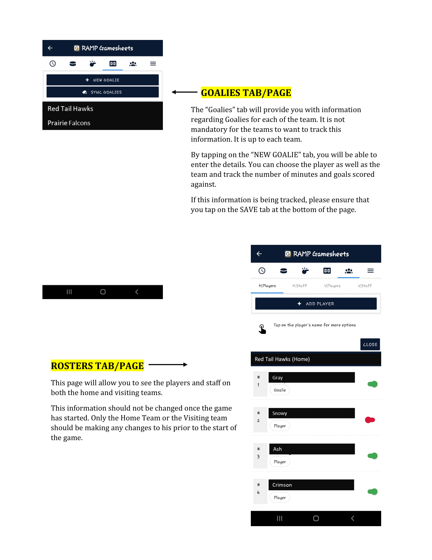 Hamilton Girls Hockey Association site by RAMP InterActive